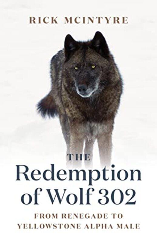 

The Redemption of Wolf 302 by Jeff Astley-Hardcover