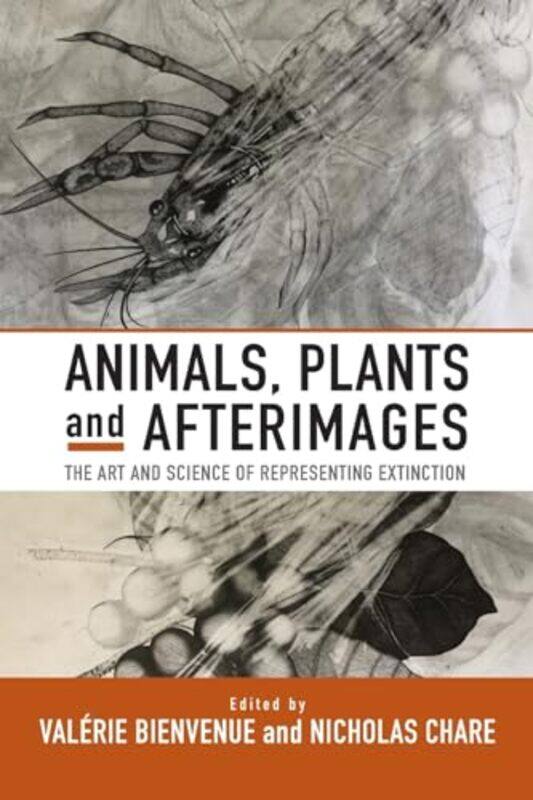 

Animals Plants and Afterimages by Chae-Young The Open University UK KimKieron The Open University UK SheehyLucinda Kerawalla-Paperback