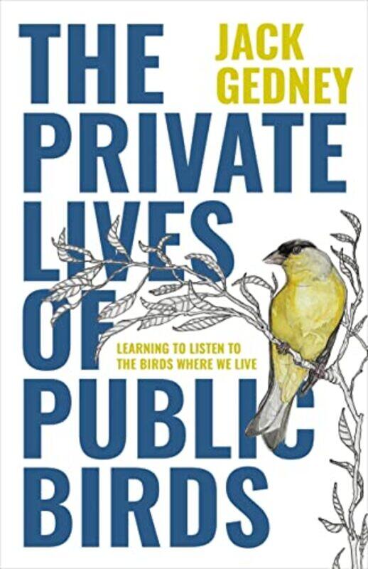 

The Private Lives of Public Birds by Dennis Mark-Paperback