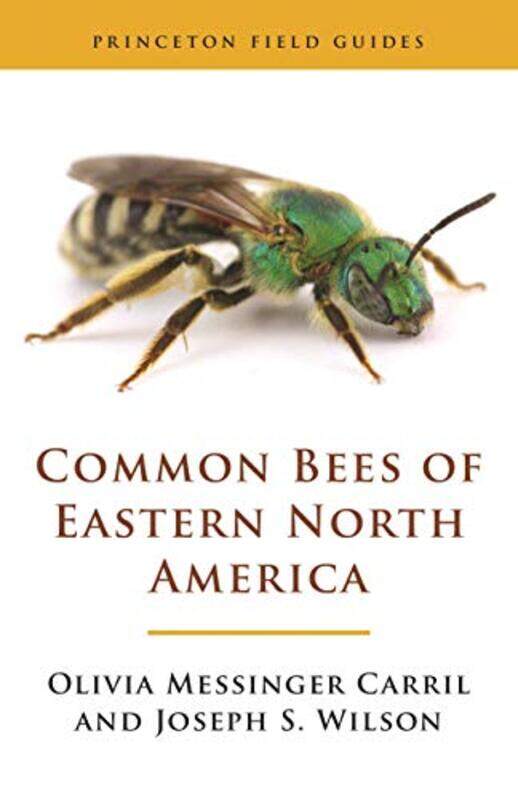 

Common Bees of Eastern North America by Olivia Messinger CarrilJoseph S Wilson-Paperback