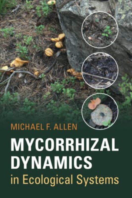 

Mycorrhizal Dynamics In Ecological Systems by Michael F Allen-Paperback
