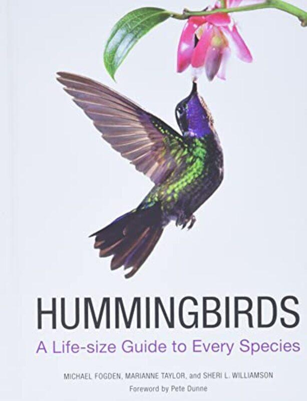 Hummingbirds A Lifesize Guide To Every Species Fogden, Michael - Taylor, Marianne - Williamson, Sheri L Hardcover