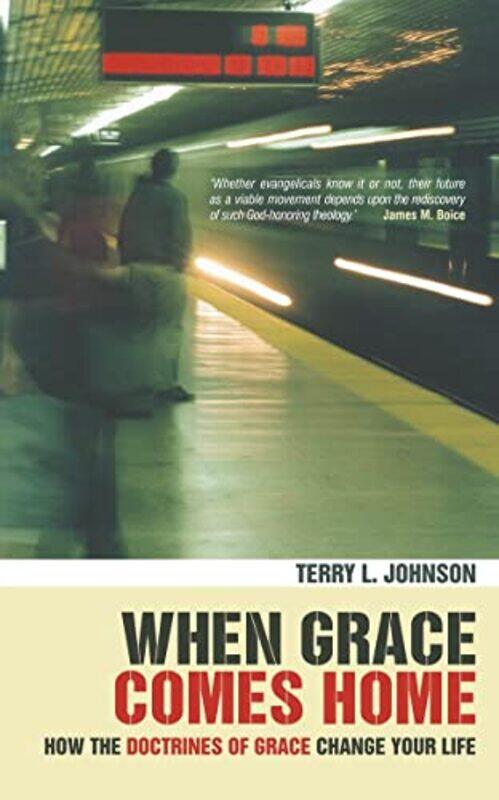 

When Grace Comes Home by Terry L Johnson-Paperback