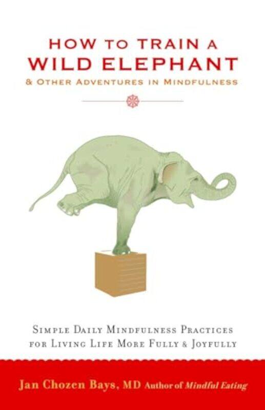 

How To Train A Wild Elephant by Jan Chozen Bays-Paperback