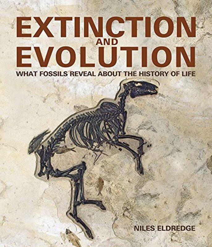 

Extinction And Evolution by Niles Eldredge-Paperback