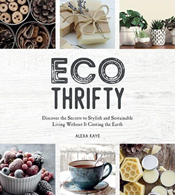 

EcoThrifty by Alexander L GeorgeAndrew Bennett-Hardcover