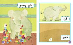 Big and Small: Level 2 (Kg) (Collins Big Cat Arabic Reading Programme), Paperback Book, By: Mahmoud Gaafar