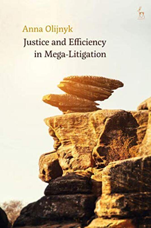 

Justice and Efficiency in MegaLitigation by Su HolmesSean Redmond-Paperback