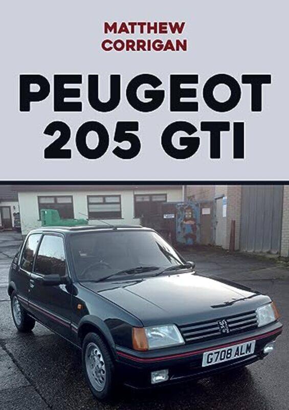 

Peugeot 205 GTI by Barbara D Culp-Paperback