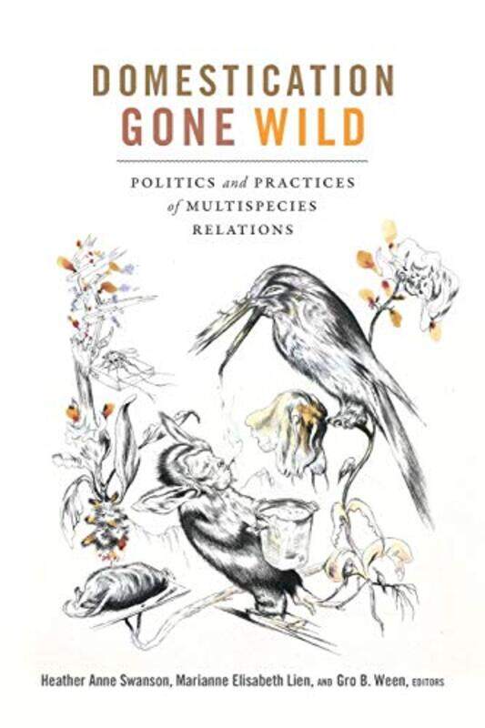 

Domestication Gone Wild by Helen ScalesGood Wives and Warriors-Paperback