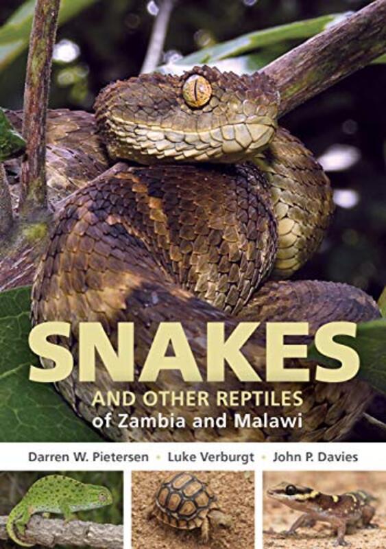 

Field Guide to Snakes and other Reptiles of Zambia and Malawi by Darren W PietersenLuke Verburgt-Paperback