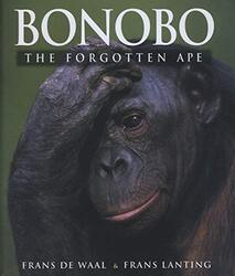 Bonobo by Ezio Universitat Pompeu Fabra Barcelona Spain Biglieri-Paperback