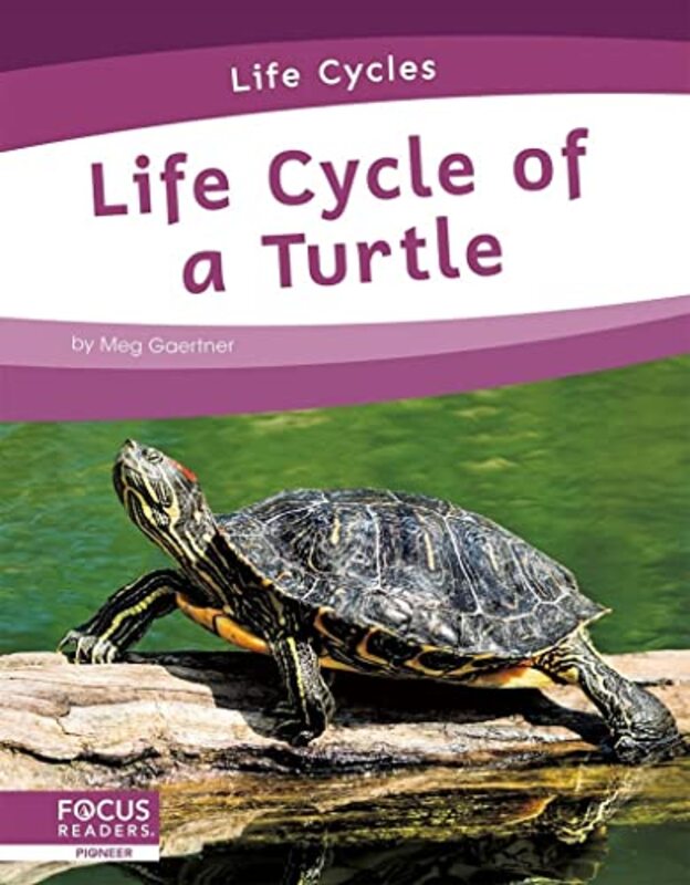 

Life Cycles Life Cycle of a Turtle by Meg Gaertner-Paperback