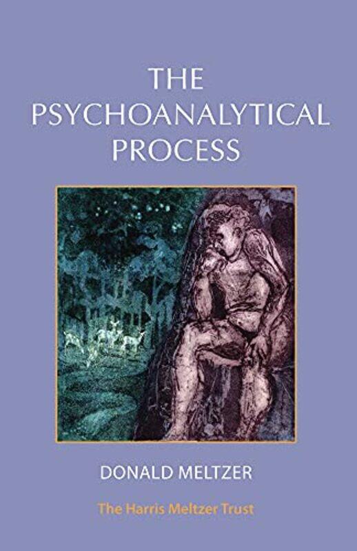 

The Psychoanalytical Process by Donald Meltzer-Paperback