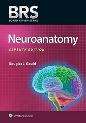 BRS Neuroanatomy by Matthew SOAS University of London UK Eagleton-Pierce-Paperback