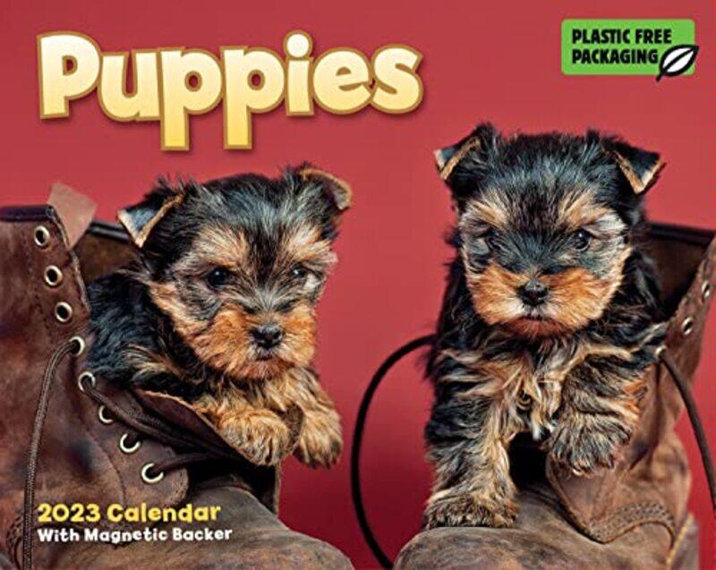 

Puppies Mini Box by Carous - Paperback