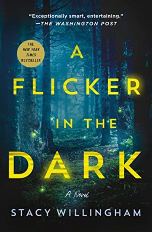 

Flicker In The Dark By Willingham Stacy - Paperback