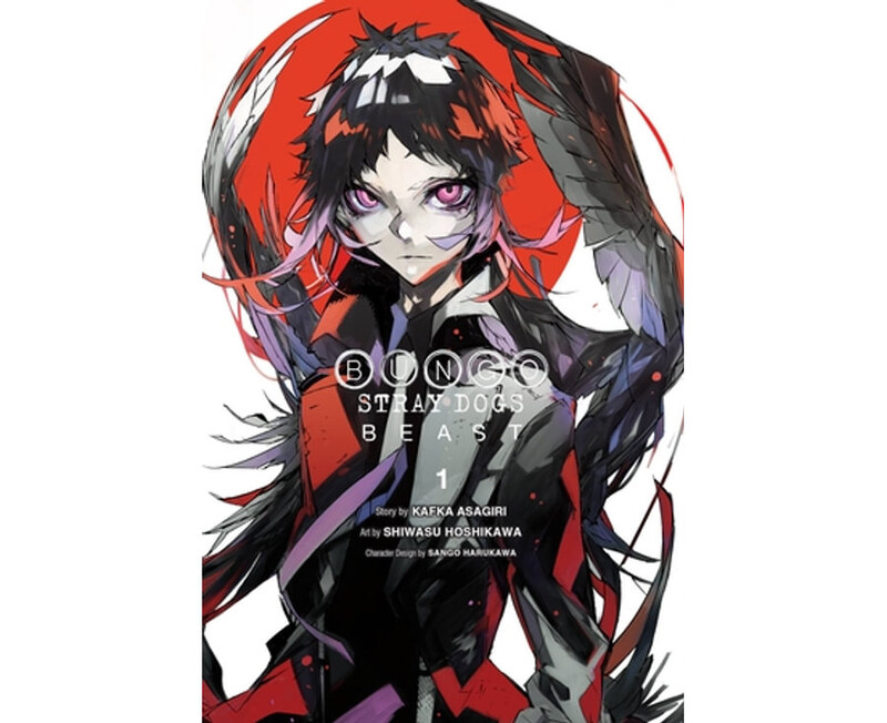 

Bungo Stray Dogs Vol. 1, Paperback Book, By: Kafka Asagiri