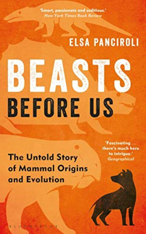 

Beasts Before Us by Elsa Panciroli-Paperback