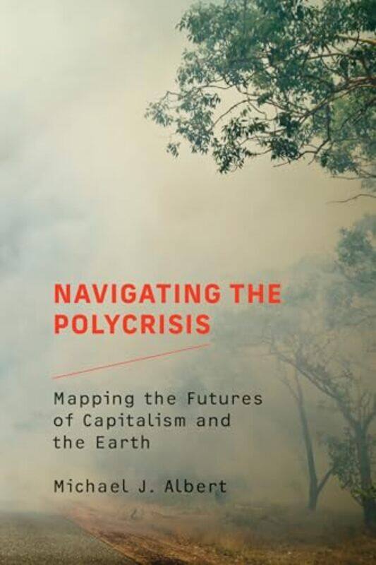 

Navigating the Polycrisis by Jack D Schwager-Paperback