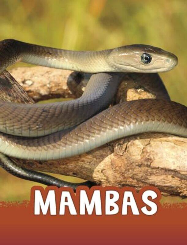 

Mambas by Andrew J Bacevich-Paperback
