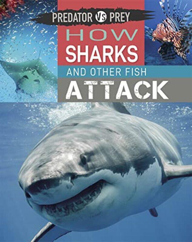 

Predator vs Prey How Sharks and other Fish Attack by David K Seitz-Paperback