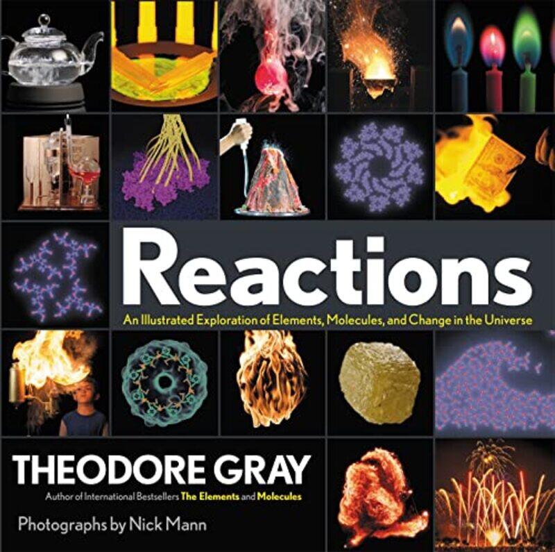 

Reactions by Leach Nicholas-Hardcover