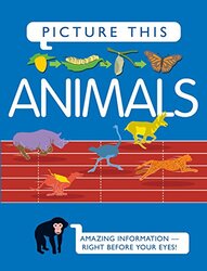 Picture This! Animals, Hardcover Book, By: Margaret Hynes