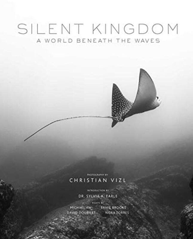 

Silent Kingdom: A World Beneath the Waves , Hardcover by Vizl, Christian