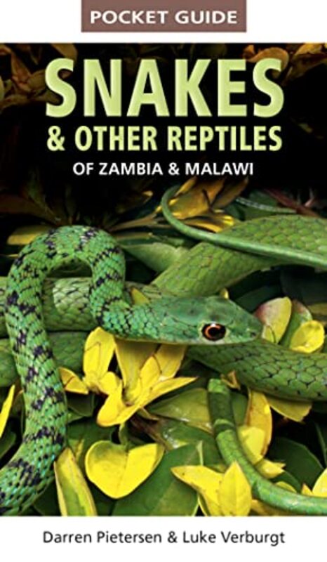 

Pocket Guide to Snakes and Other Reptiles of Zambia and Malawi by Darren PietersenLuke Verburgt-Paperback