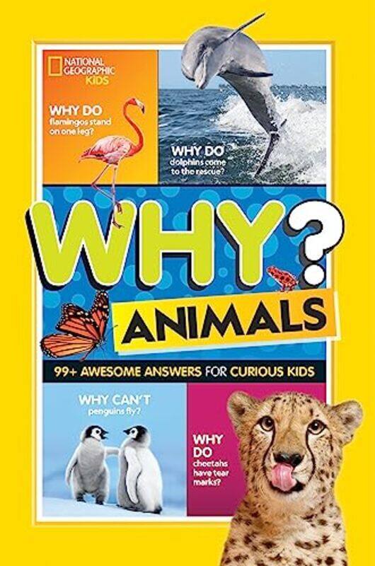 

Why Animals By Beer Julie Paperback