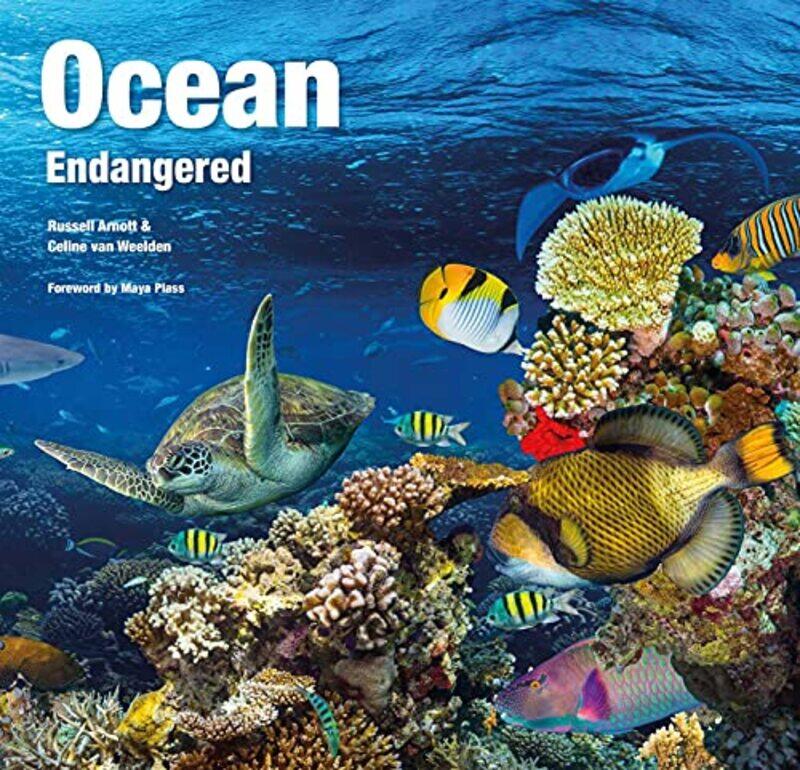 

Ocean Endangered by James D Nogalski-Hardcover