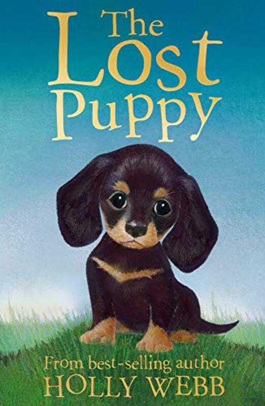 The Lost Puppy by Holly WebbSophy Williams-Paperback