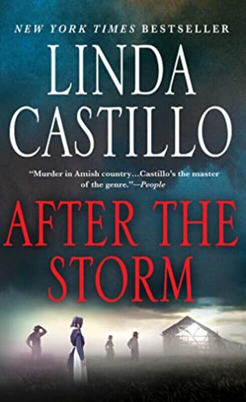 

After The Storm By Castillo Linda - Paperback