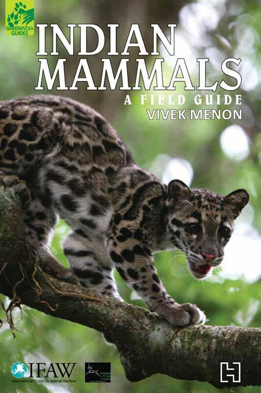 

Indian Mammals: A Field Guide, Paperback Book, By: Vivek Menon