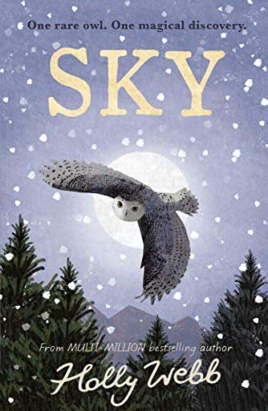 

Sky by Holly Webb-Paperback