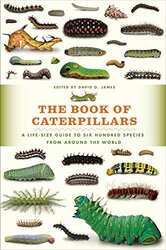 The Book of Caterpillars: A Life-Size Guide to Six Hundred Species from Around the World , Hardcover by James, David G