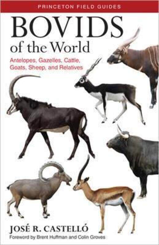 

Bovids of the World: Antelopes, Gazelles, Cattle, Goats, Sheep, and Relatives.paperback,By :Dr. Jose R. Castello