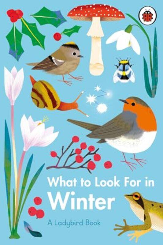 

What to Look For in Winter by Elizabeth JennerNatasha Durley-Hardcover