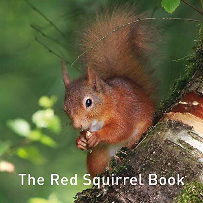 

Nature Book Series The The Squirrel Book by Jason Travis Ott-Hardcover