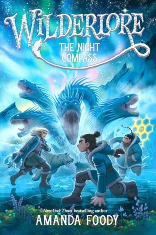 

The Night Compass by Foody, Amanda-Hardcover