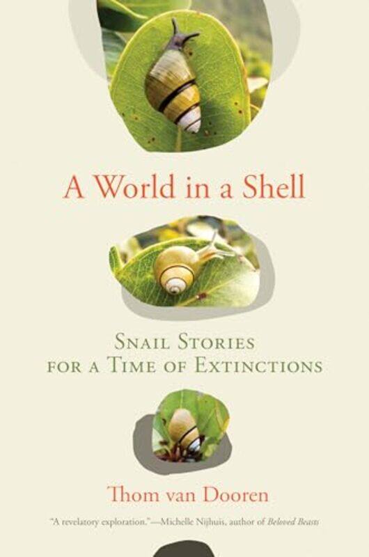 

A World in a Shell by Ralph University of Maryland Baltimore DolgoffFrank Emeritus Bar-Ilan University LoewenbergDonna University of Maryland Baltimor