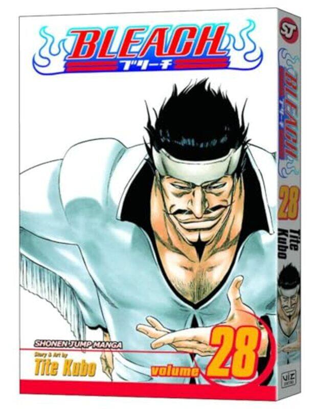 

Bleach V28 By V28 - Paperback