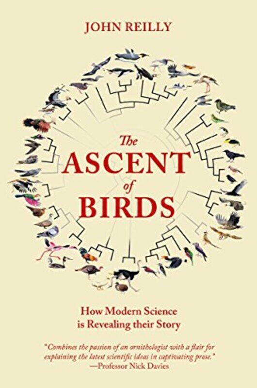 

The Ascent Of Birds by John Reilly-Paperback