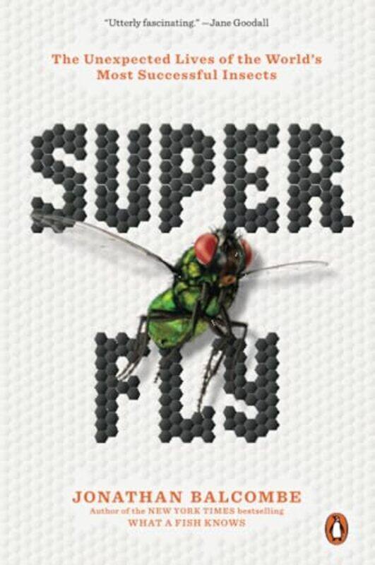 

Super Fly by Steve Brookes-Paperback