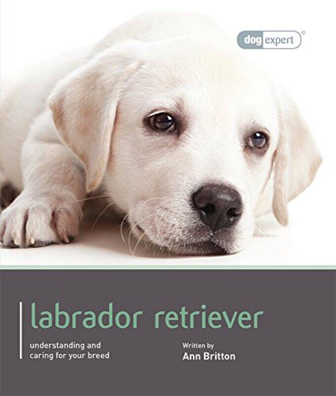 

Labrador Dog Expert by Manousos E Kambouris-Paperback