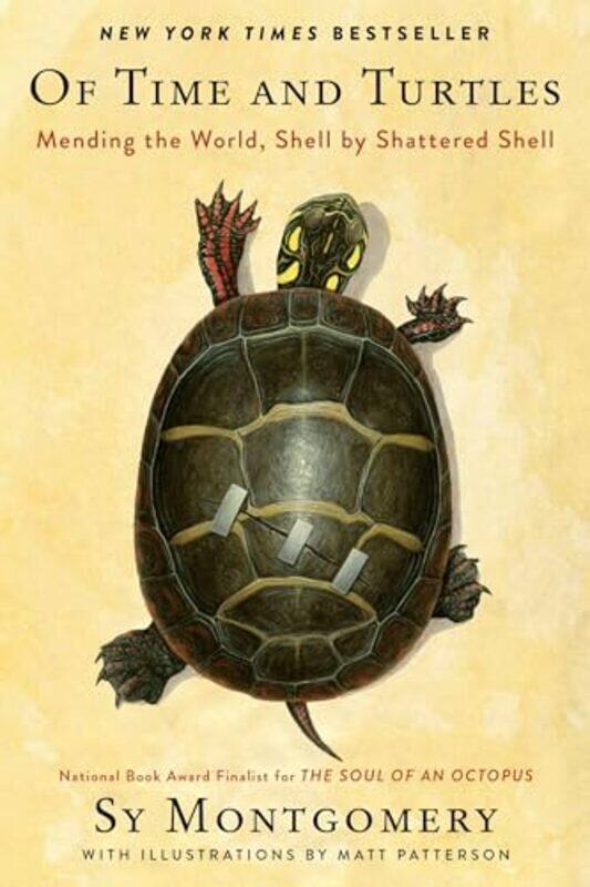 

Of Time And Turtles By Montgomery Sy - Hardcover