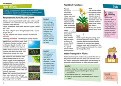 KS2 Science Study Book (Collins KS2 Practice), Paperback Book, By: Collins KS2