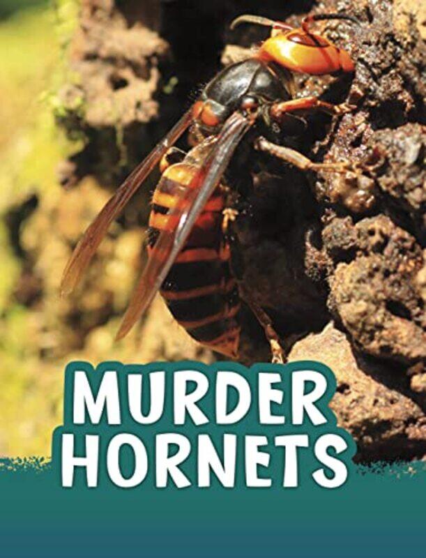 

Murder Hornets by Kaplan Test Prep-Hardcover