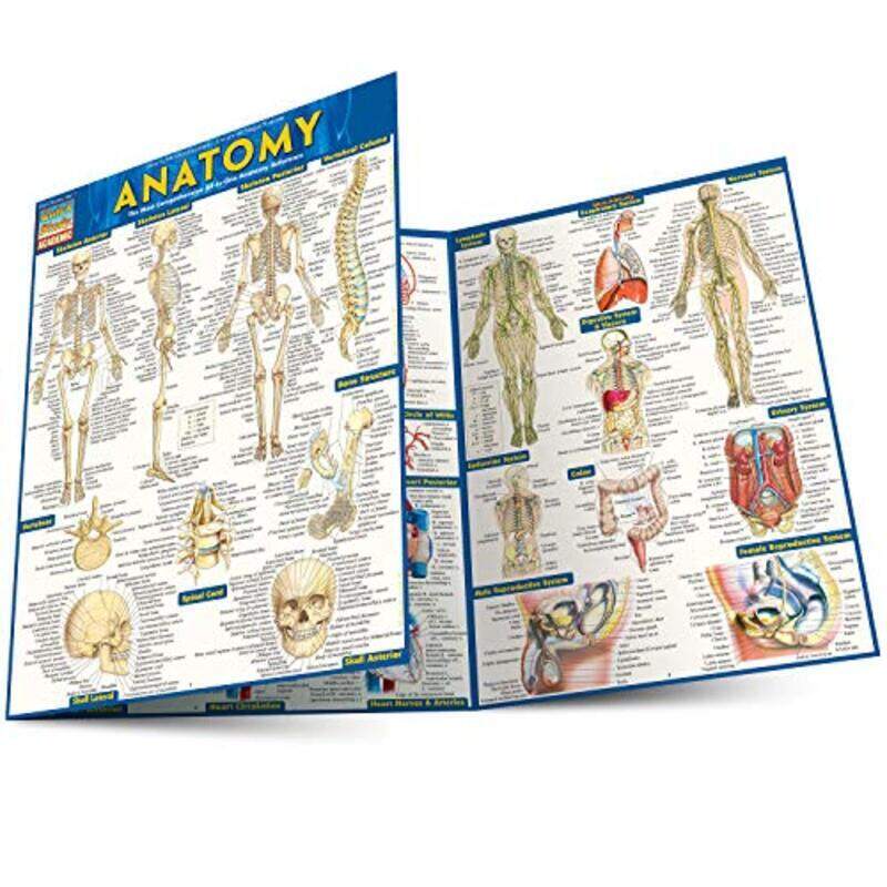 

Anatomy Reference Guide 8.5 X 11 A Quickstudy Reference Tool By Perez, Vincent Paperback